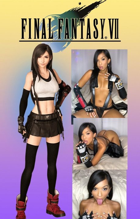 iconica HDモデル 写真