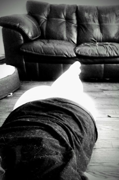 gamingth0ttyfree スター 画像