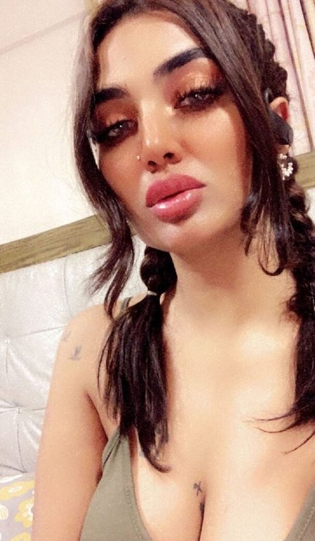 Pakistani Beauties 裸のポルノスター 写真