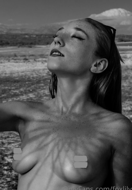 foxlily アートモデル 写真