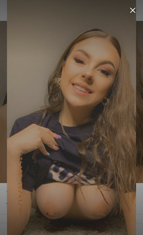 Taylor Vellion 高品質モデル 画像