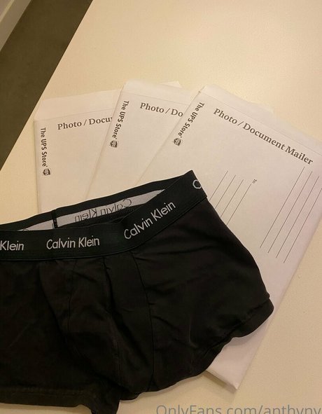 anthvny アートポルノスター 写真