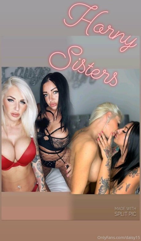 Daisy15 高品質スター 画像