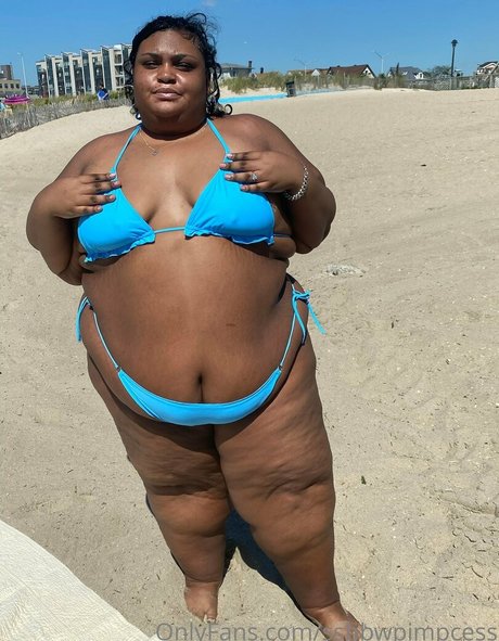 ssbbwpimpcess 完璧なスター 写真