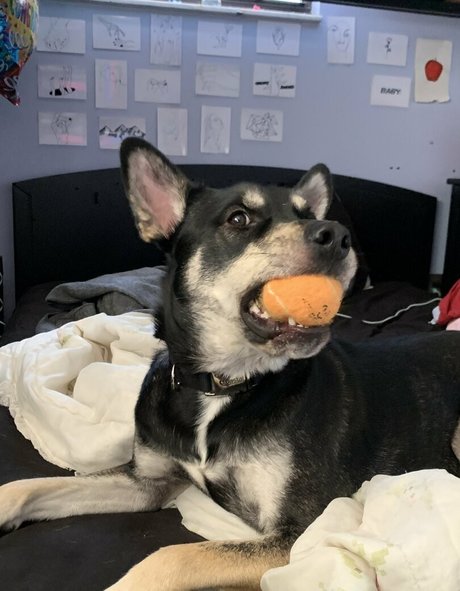 熟女オーガズムオンリーファンズ 無料ヌード 画像