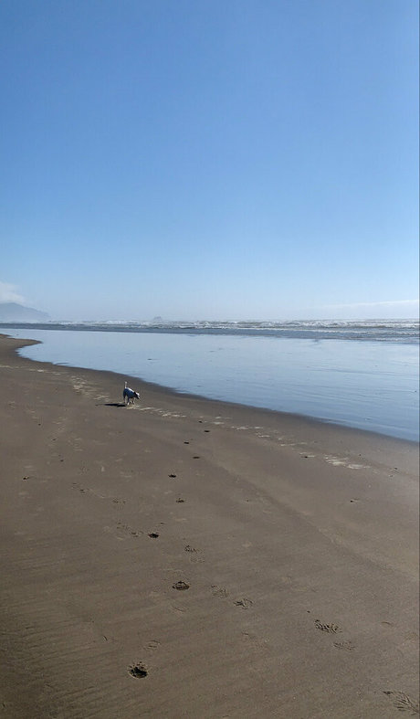 太ったお母さんオンリーファンズ 美しいヌード 写真