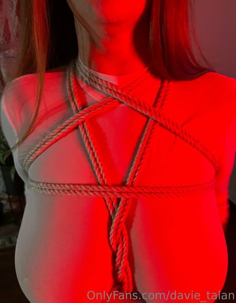 davie talan アダルトスター 画像