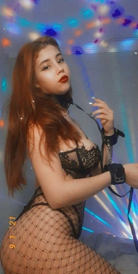 ゲイディルドオンリーファンズ トップ 画像