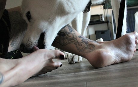 カーリーエボニーオンリーファンズ HD ギャラリー