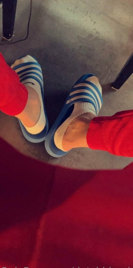 dutchblondsport アートスター アーカイブ