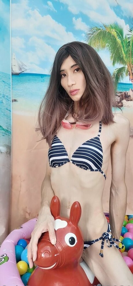 aa052931 限定スター ギャラリー