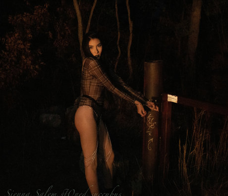 大きなお尻の黒人オンリーファンズ 無料アダルト 写真