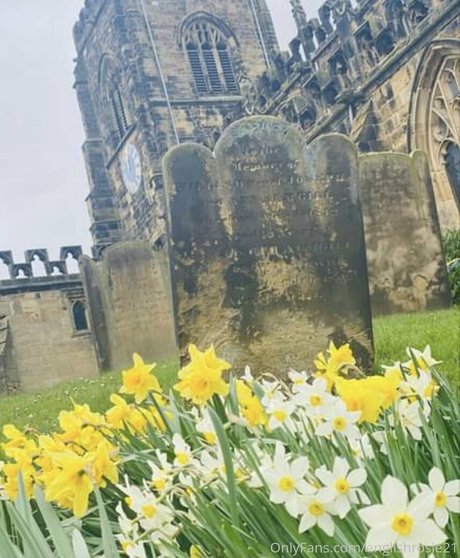 englishrosie21 完璧な女優 写真