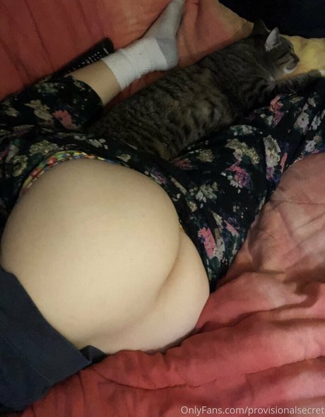 provisionalsecret 美しいモデル 写真