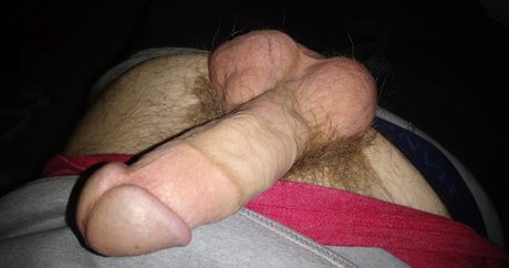 skaden11 アートスター 写真