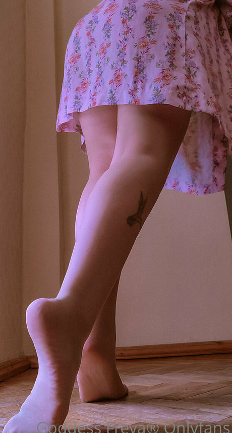 キムチオンリーファン 無料 アーカイブ