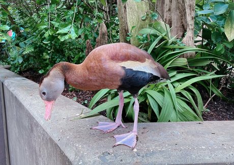 クロスフィットオンリーファンズ 可愛い ギャラリー