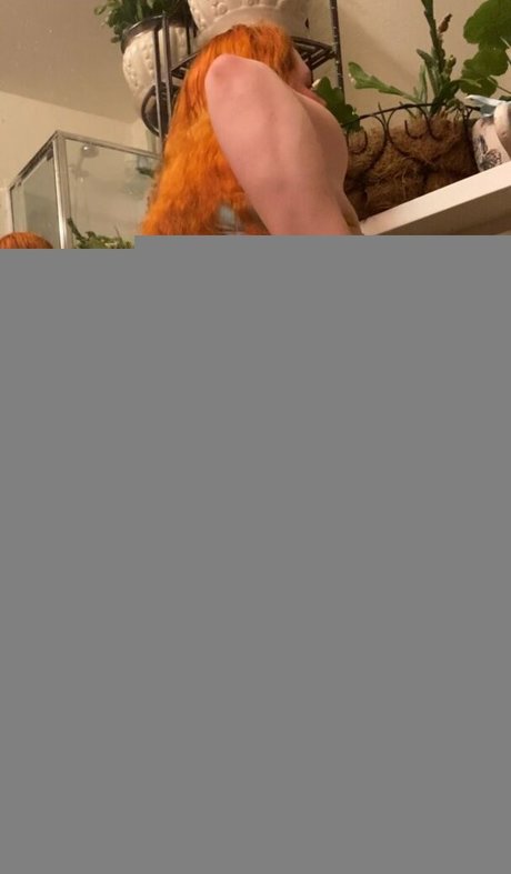 Penny Brown HD女優 写真