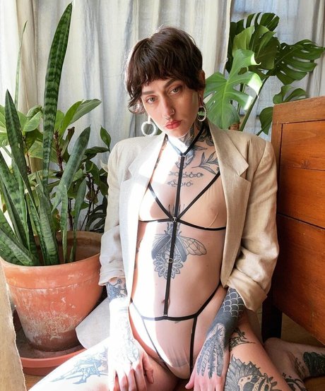 Deadnettle ポルノスター 独占 写真