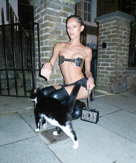 Manahou Mackay トップポルノスター 写真