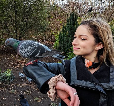 Sydney Meyer 独占スター 写真