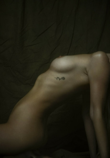 Swalina HDスター ギャラリー