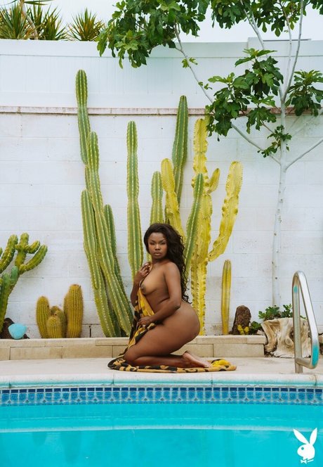 Aziza 裸のポルノスター 写真