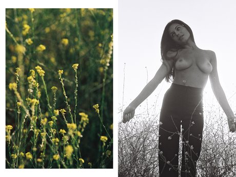 Alyssa Lynch セックスポルノスター 写真