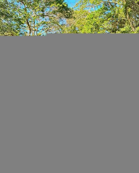 Stacy Londyn ポルノモデル 写真