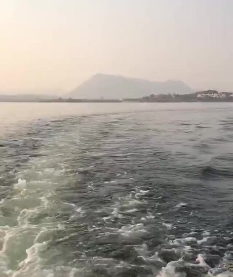 毛深いアジア人オンリーファンズ えろ 画像