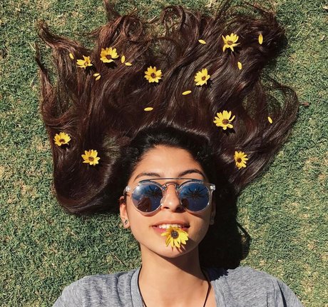 Antoenella 限定スター ギャラリー