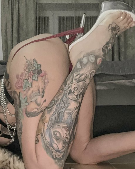 Nessyfox 美しいスター 写真