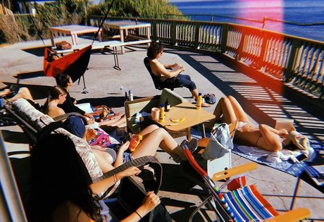 大きな黒い猫オンリーファンズ 無料 画像