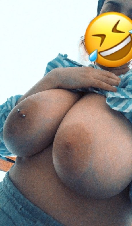 Orangecorp アートスター 画像