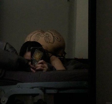 Orangecorp スター 写真