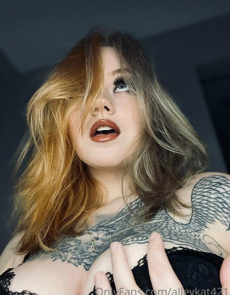 Alleykat421 ポルノスター アート ギャラリー