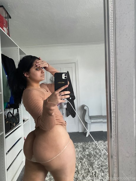 ファットオンリーファン ベスト ギャラリー