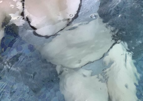 DP オンリーファン ホット 写真