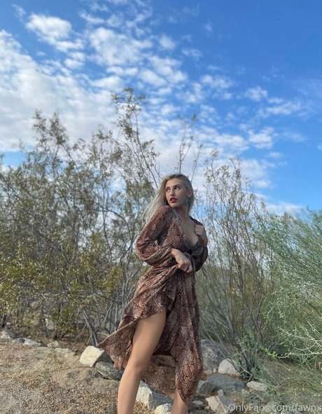 Fawnx アートポルノスター 写真