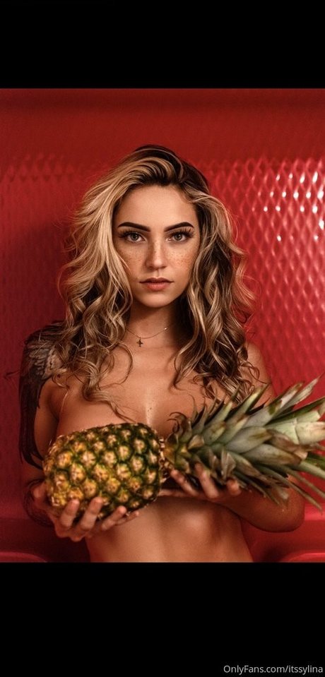 Sylina Ruiz ポルノスター パーフェクト 写真