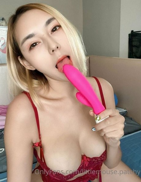 Littlemouse patchy 写真集