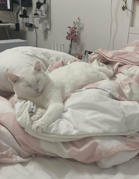 エボニートップオンリーファン ホットセックス 写真