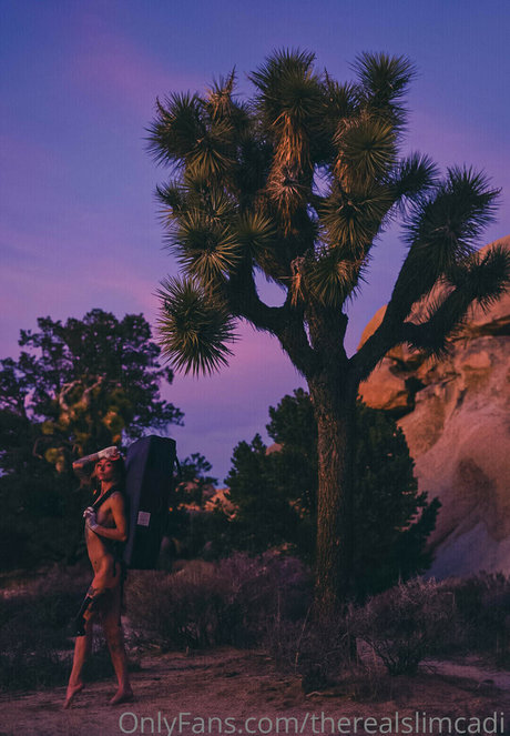 therealslimcadi 美しいスター 画像