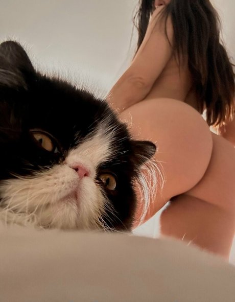 巨乳カップルオンリーファンズ アートxxx 写真