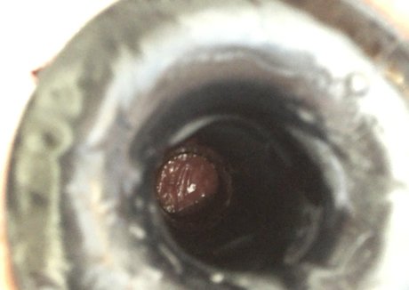 theabigailmae トップスター 画像