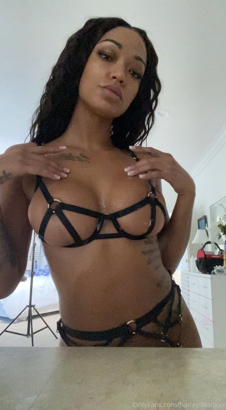 獣医オンリーファンズ ポルノ 画像