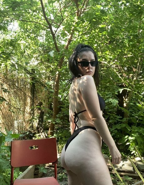 magdajtaylor 素敵なスター 写真