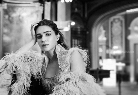 Kriti Sanon エロティックなスター ギャラリー