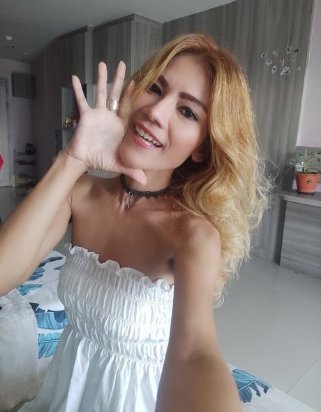 Apple Noodee 美しいモデル アーカイブ