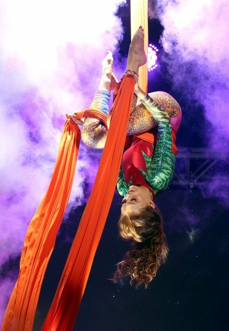 Tガールオンリーファン HD 写真